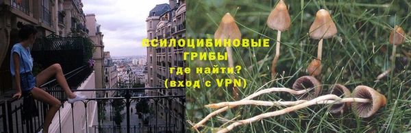 сатива Армянск