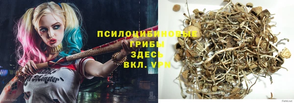 герыч Арсеньев